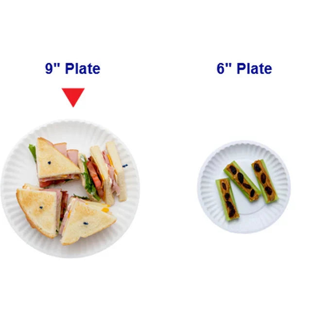 Great Value Uncoated, Microwave Safe, Disposable Paper Plates, 9 in, White, 300 Count - Amado Deals - wholesale and distributors with free shipping in United States