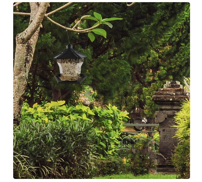 Pennington Earth Smart, Black Recycled Plastic Hopper Wild Bird Feeder, with Extra Large 6 lb. Capacity - Amado Deals - wholesale and distributors with free shipping in United States