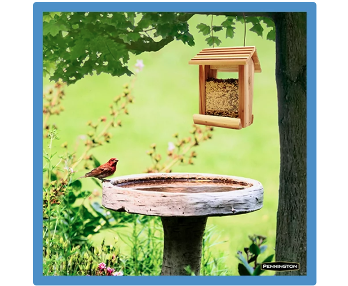 Pennington Select Wild Finch Blend, Wild Bird Seed and Feed, 10 Pounds - Amado Deals - wholesale and distributors with free shipping in United States