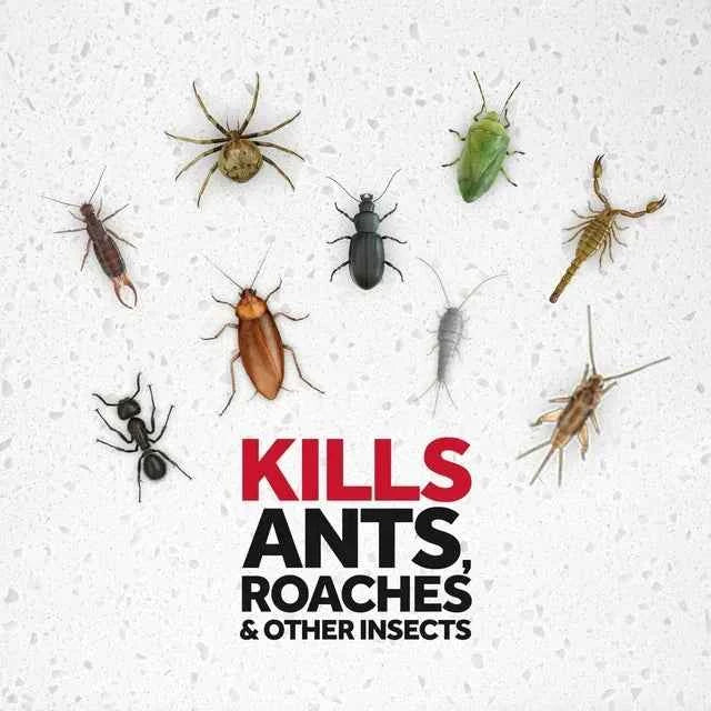 Raid® Ant & Roach Killer 26, Fragrance-Free Bug Spray, 17.5 fl oz, 2 ct